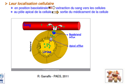 Capture d’écran 2013-02-21 à 20.55.29.png