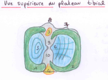 Capture d’écran 2013-03-06 à 19.52.19.png