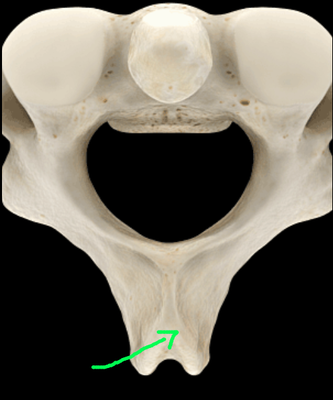 Capture d’écran 2013-03-06 à 23.47.09.png