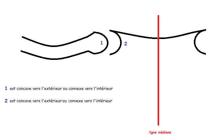 articulation manubrium-clavicule.png
