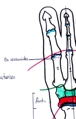 Capture d’écran 2013-03-10 à 00.26.37.png
