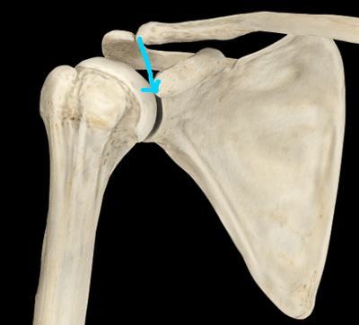 Capture d’écran 2013-03-10 à 14.00.57.png