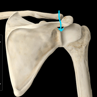 Capture d’écran 2013-03-10 à 14.01.28.png