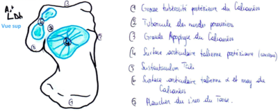 Capture d’écran 2013-03-10 à 19.27.49.png