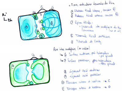Capture d’écran 2013-03-10 à 20.02.44.png