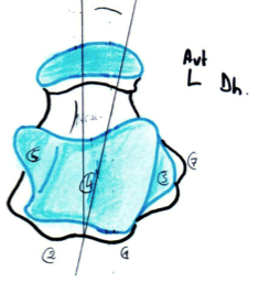 Capture d’écran 2013-03-11 à 17.48.45.png