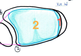 Capture d’écran 2013-03-11 à 18.09.13.png