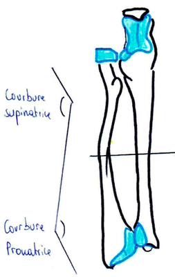 Capture d’écran 2013-03-13 à 00.12.18.png