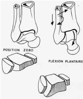 Capture d’écran 2013-03-16 à 10.22.16.png