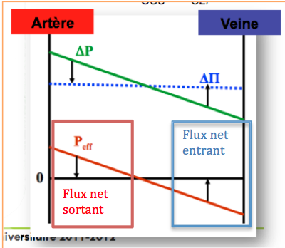 Capture d’écran 2013-03-21 à 10.20.30.png