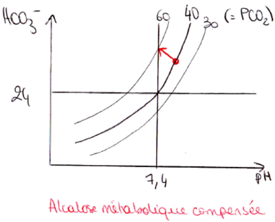 Alcalose métabolique compensée.PNG