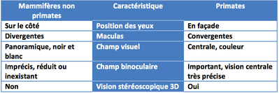 Capture d’écran 2013-03-29 à 18.27.36.png