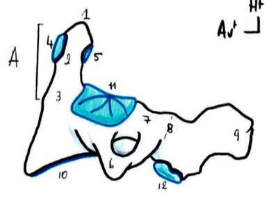 Capture d’écran 2013-04-01 à 14.23.18.png
