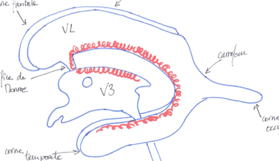 Capture d’écran 2013-04-02 à 21.42.42.png