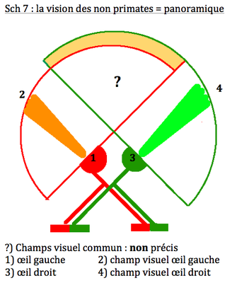 Capture d’écran 2013-04-03 à 01.50.16.png