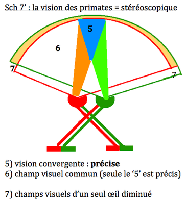 Capture d’écran 2013-04-03 à 01.50.28.png