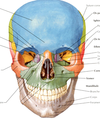 Capture d’écran 2013-04-04 à 14.47.58.png