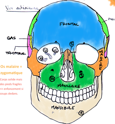 Capture d’écran 2013-04-04 à 14.47.49.png