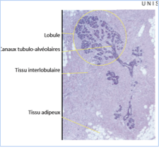 Capture d’écran 2013-04-05 à 18.42.47.png