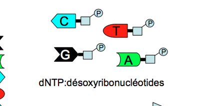 Capture d’écran 2013-04-06 à 19.46.14.png