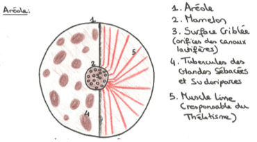 Capture d’écran 2013-04-06 à 22.01.42.png