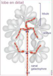 Capture d’écran 2013-04-06 à 22.22.10.png