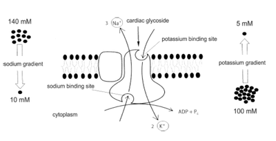 Capture d’écran 2013-04-09 à 21.05.15.png