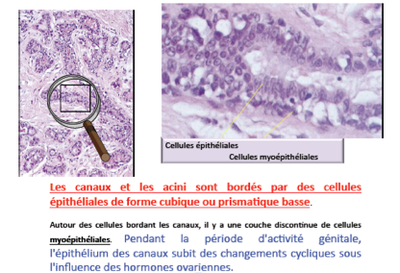 Capture d’écran 2013-04-28 à 22.04.36.png