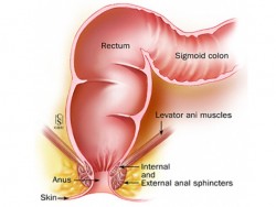 courbures frontales.jpg