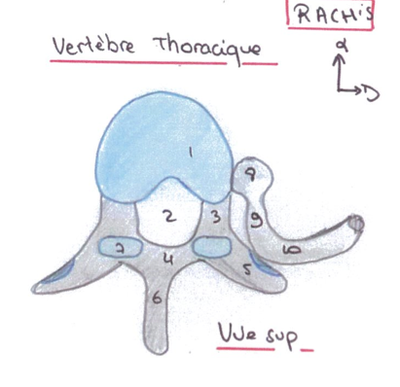 Capture d’écran 2013-05-09 à 10.48.24.png