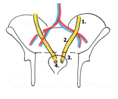 Capture d’écran 2013-05-13 à 23.35.32.png