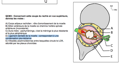 Capture d’écran 2013-05-16 à 15.45.59.png