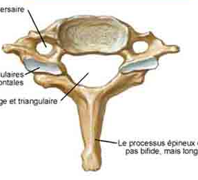 Capture d’écran 2013-05-18 à 20.27.31.png