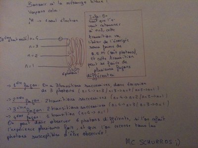 réponse mésange bleue.jpg