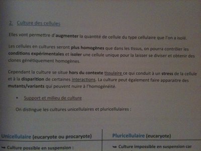 cultures cellulaire.jpg