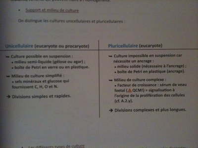 cultures cellulaires.jpg