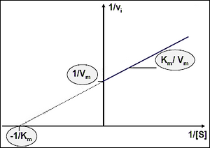Droite des doubles inverses.png