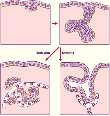 Capture d’écran 2013-08-25 à 17.36.10.png