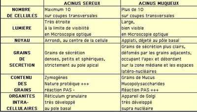 Capture d’écran 2013-08-25 à 17.48.25.png