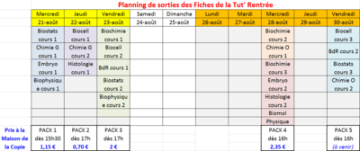 Planing des Fiches de la Tut' Rentrée.PNG