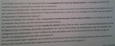 2013-09-08 10.20.49.jpg