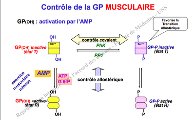 Capture d’écran 2013-09-09 à 16.14.05.png