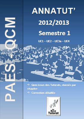 1ère page Annatut' 2012-2013 S1.png