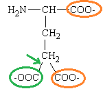 gamma-carboxy-glutamate.png