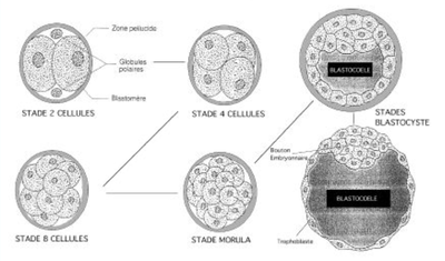 Capture d’écran 2013-09-13 à 23.33.43.png