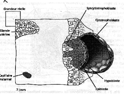 Capture d’écran 2013-09-13 à 23.34.04.png