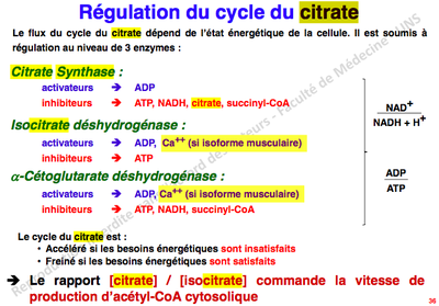 Capture d’écran 2013-09-16 à 11.08.29.png