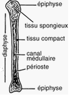 Capture d’écran 2013-09-19 à 17.43.06.png