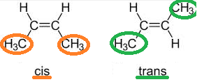 cis-trans.png