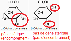 glucose.png